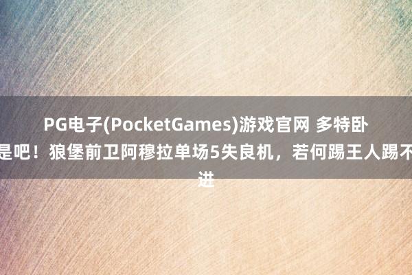 PG电子(PocketGames)游戏官网 多特卧底是吧！狼堡前卫阿穆拉单场5失良机，若何踢王人踢不进