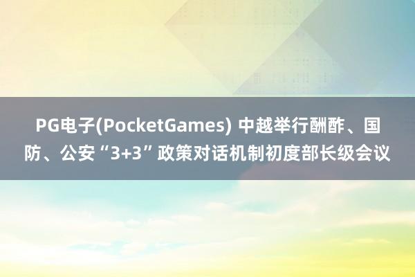 PG电子(PocketGames) 中越举行酬酢、国防、公安“3+3”政策对话机制初度部长级会议