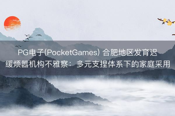 PG电子(PocketGames) 合肥地区发育迟缓烦嚣机构不雅察：多元支捏体系下的家庭采用