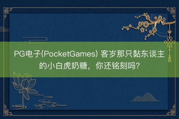 PG电子(PocketGames) 客岁那只黏东谈主的小白虎奶糖，你还铭刻吗？