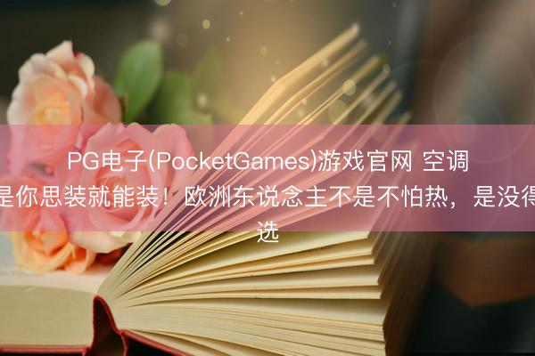 PG电子(PocketGames)游戏官网 空调不是你思装就能装！欧洲东说念主不是不怕热，是没得选