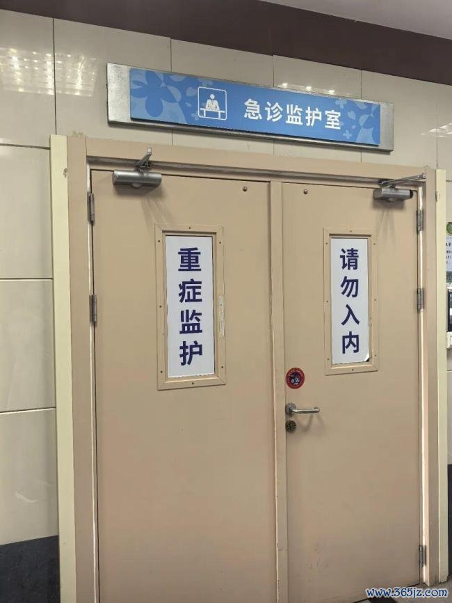 七旬老东谈主吃一斤杨梅致肾挫伤
